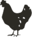 Home 11 ssm chicken l k