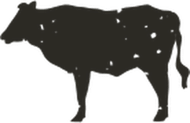 Home 13 ssm cow l k