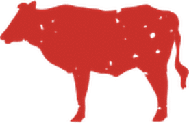 Home 16 ssm cow l r