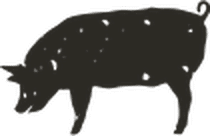 Home 12 ssm pig l k