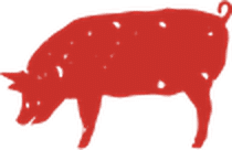 ssm pig l r